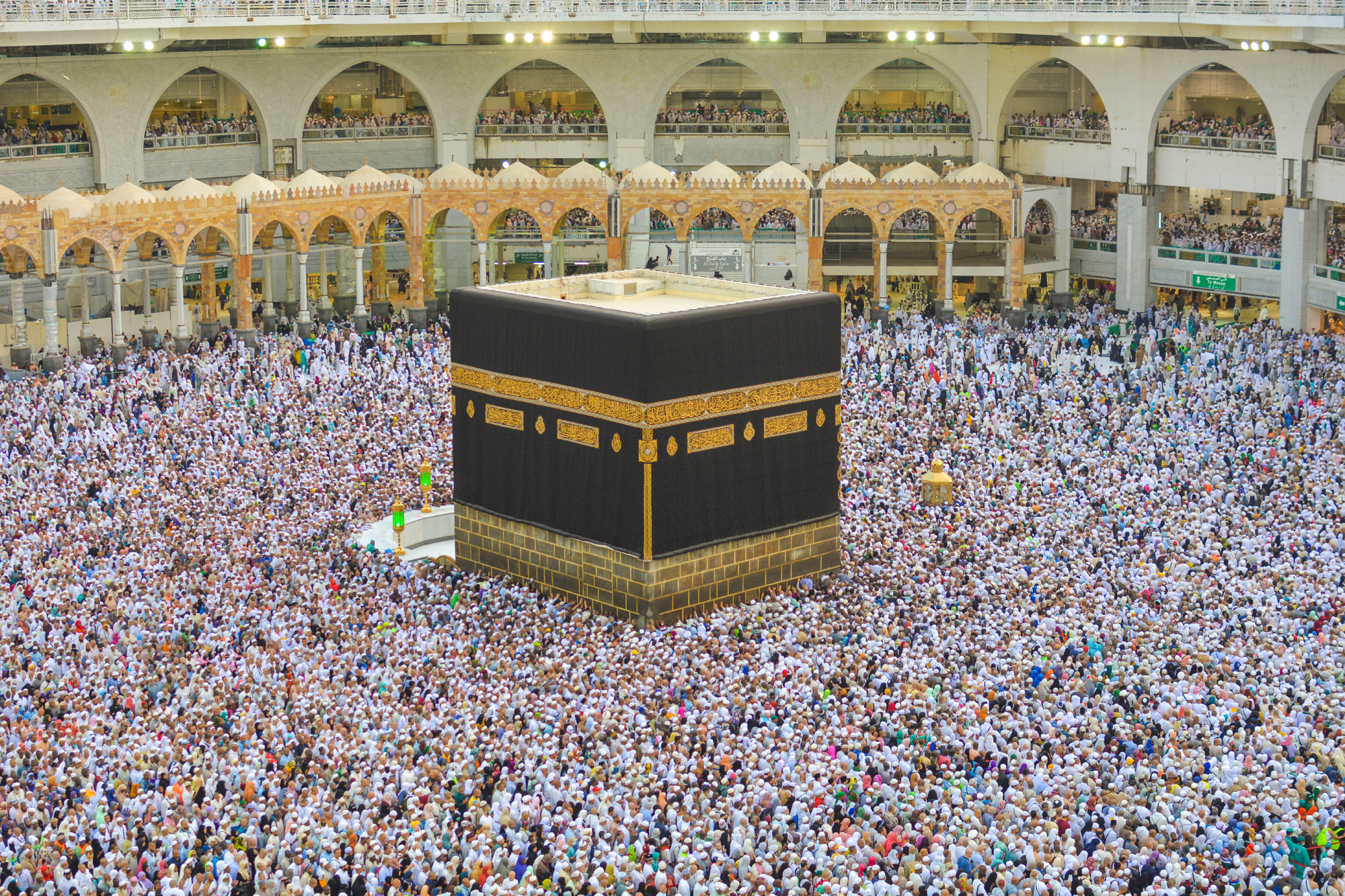 To attend Hajj you will need a Hajj meningitis vaccination